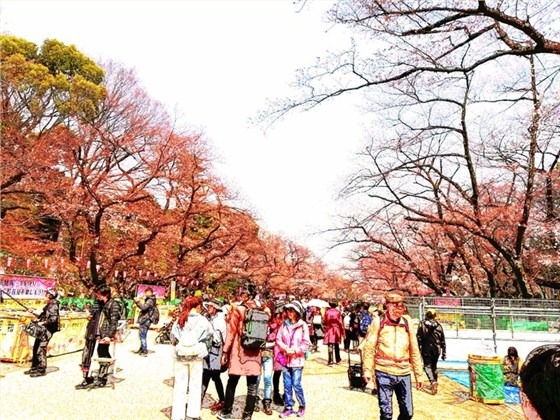 3天-6.jpg