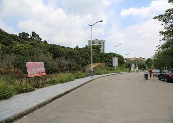 东莞大岭山镇连平村路灯安装工程