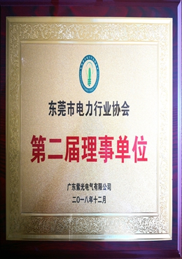 东莞市电力行业协会理事单位