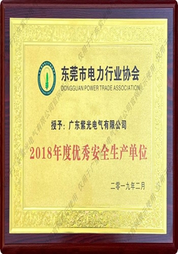 东莞市电力行业协会优秀安全生产单位