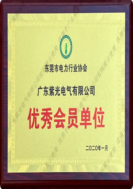 东莞市电力行业协会优秀会员单位